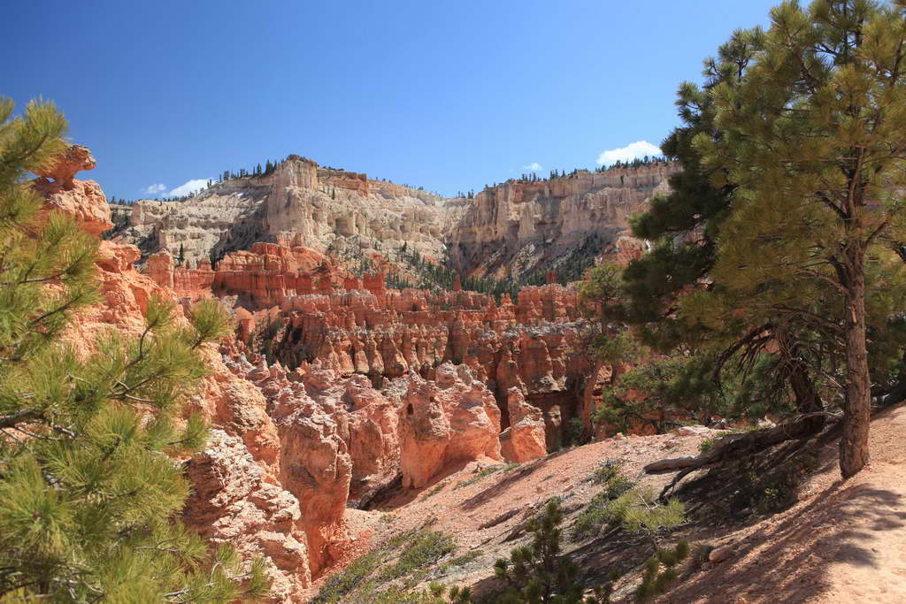 Bryce Canyon NP